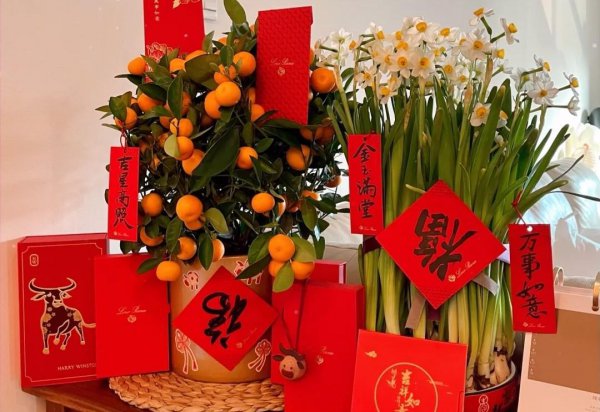 除夕夜可以洗衣服吗