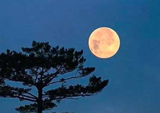 孟浩然最有名的十首诗