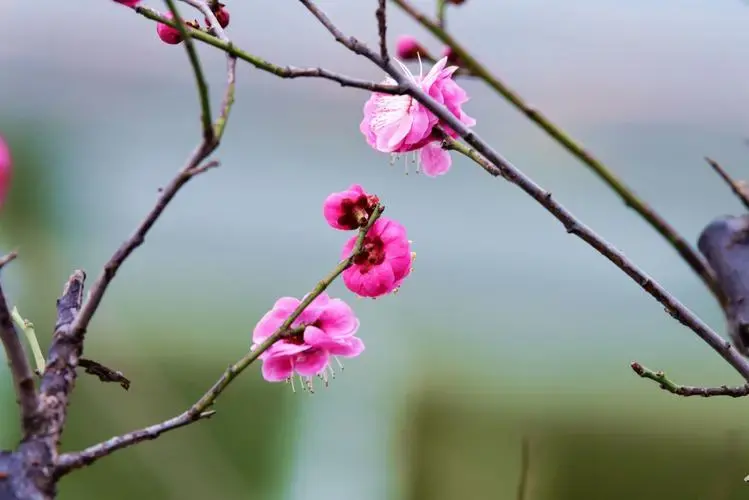 孟浩然最有名的十首诗