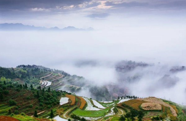 王勃最著名的十首诗