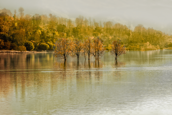 王勃最著名的十首诗