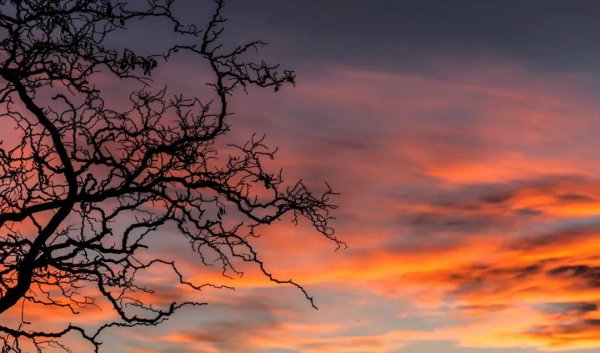 王勃最著名的十首诗