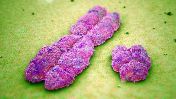 中国女性平均寿命