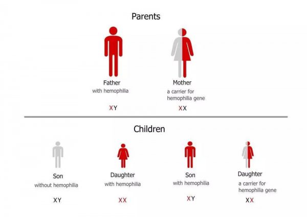 中国女性平均寿命