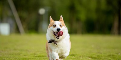 女人做什么生意挣钱 适合女性创业的五个行业介绍