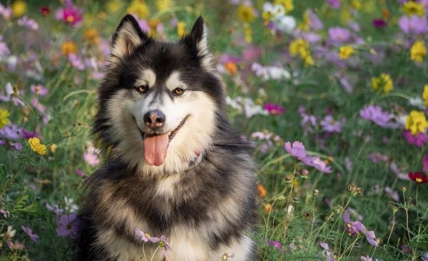 女人做什么生意挣钱