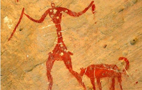 狗的祖先是什么动物