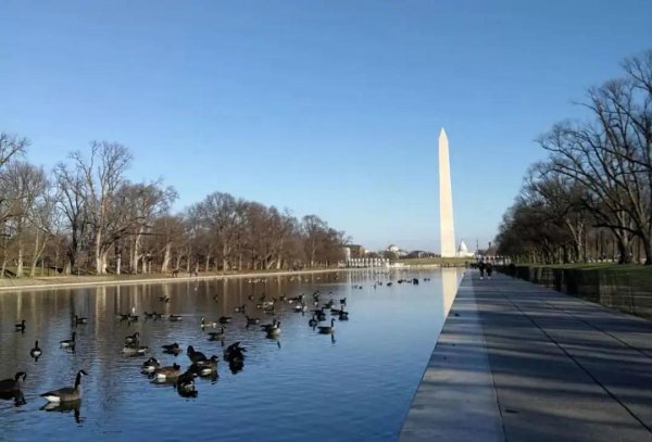 华盛顿特区属于哪个州