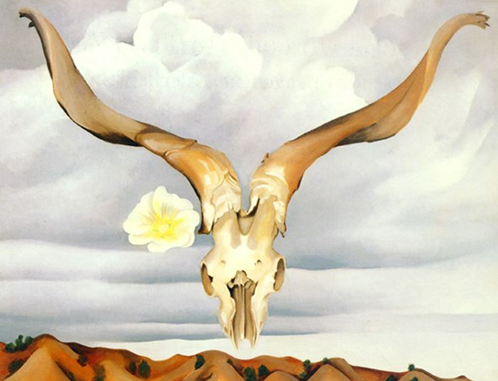 玛丽苏是什么意思