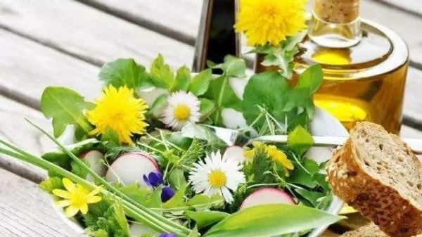 耳熟能详的的蒲公英是花吗