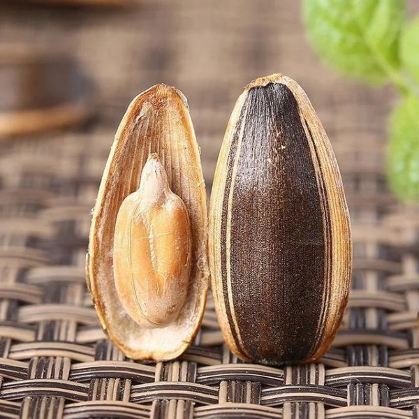 黑瓜子是什么瓜的子