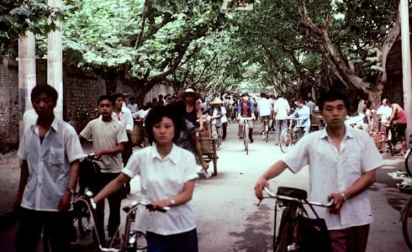 四川省凉山有几个县几个区