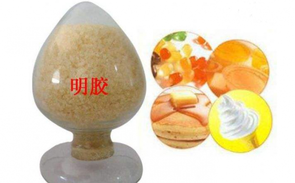 明胶的主要成分是什么