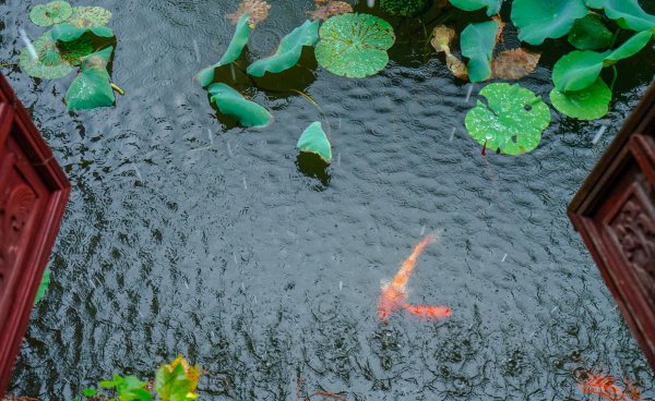 风景优美的江南小镇有哪些