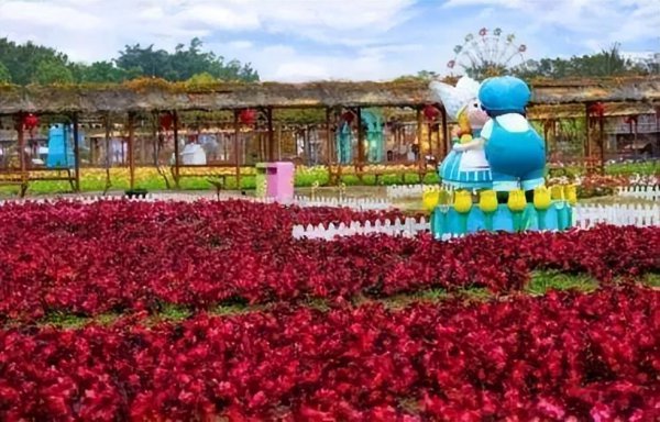 高明哪里有好玩的