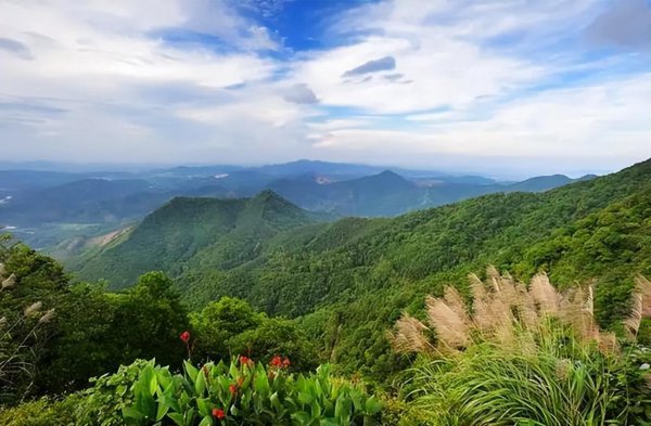 高明哪里有好玩的