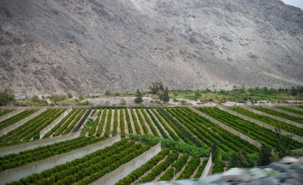 和中国季节相反的地区是哪个地区