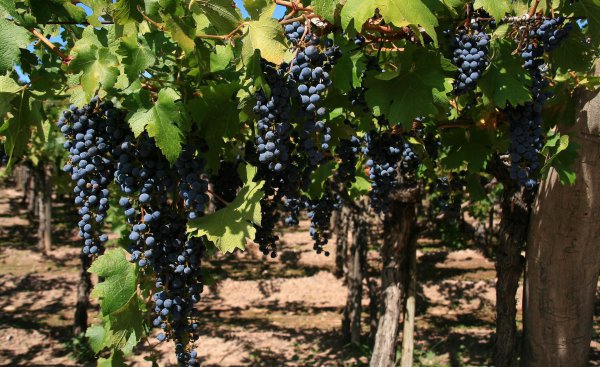 和中国季节相反的地区是哪个地区