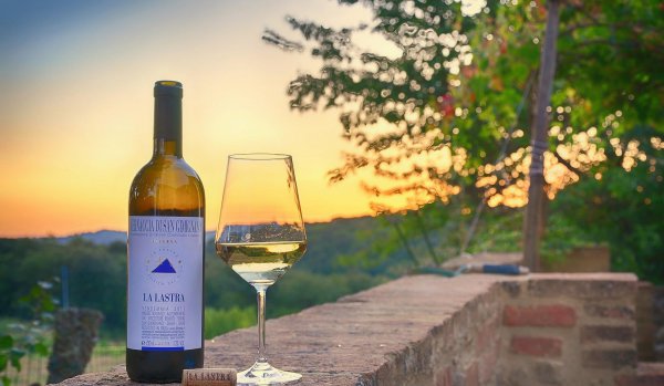 和中国季节相反的地区是哪个地区