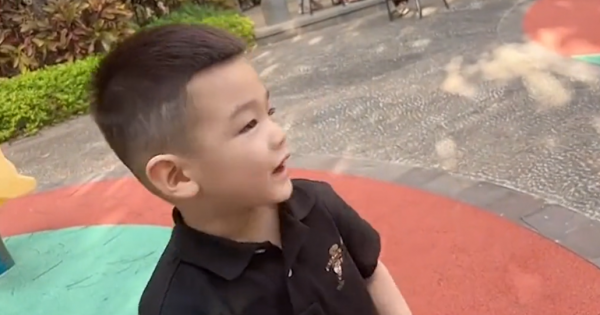 高迪和大美的宝宝叫什么