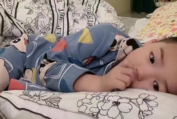 高迪和大美的宝宝叫什么