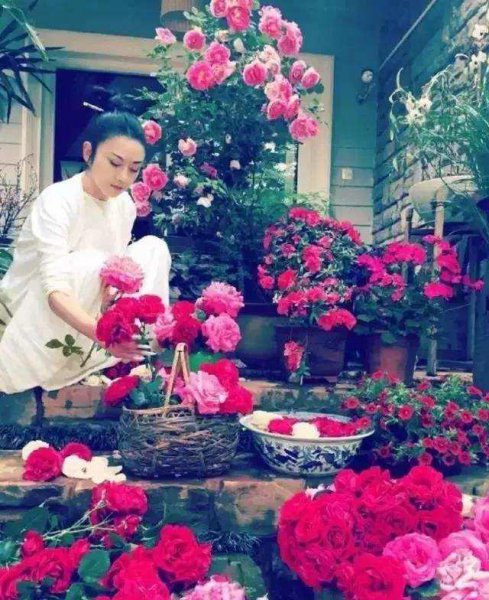 杨丽萍的太阳宫和月亮宫在哪里