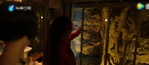 杨丽萍的太阳宫和月亮宫在哪里