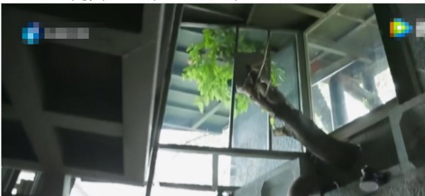 杨丽萍的太阳宫和月亮宫在哪里