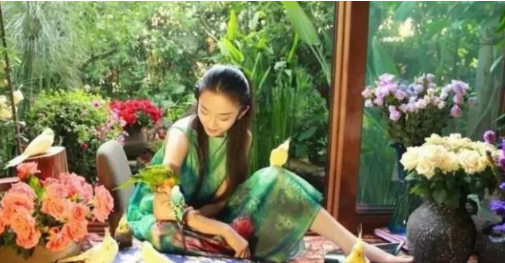 杨丽萍的太阳宫和月亮宫在哪里