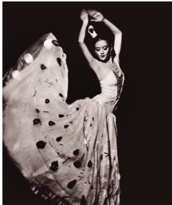 杨丽萍的太阳宫和月亮宫在哪里