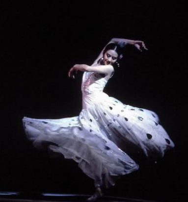 杨丽萍的太阳宫和月亮宫在哪里