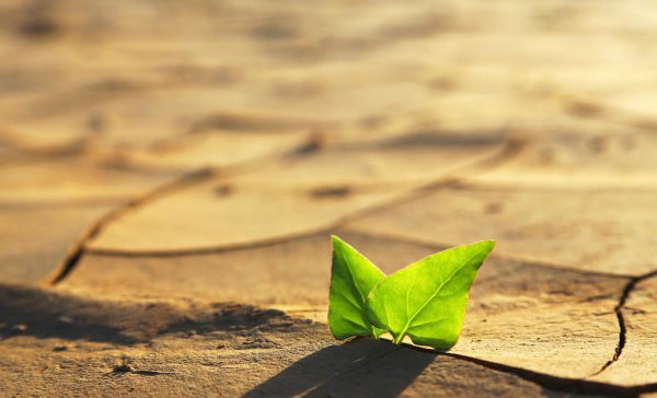 地理十二种气候类型及特点成因总结归纳