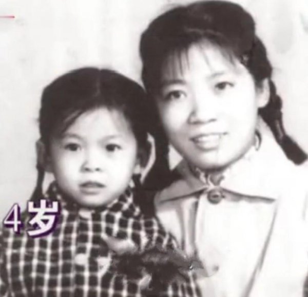 董文华事件真相始末