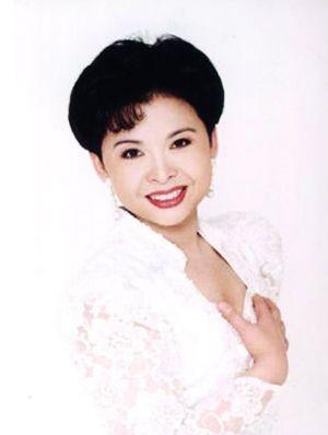 董文华事件真相始末