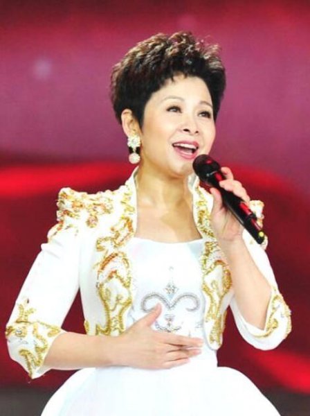 董文华事件真相始末