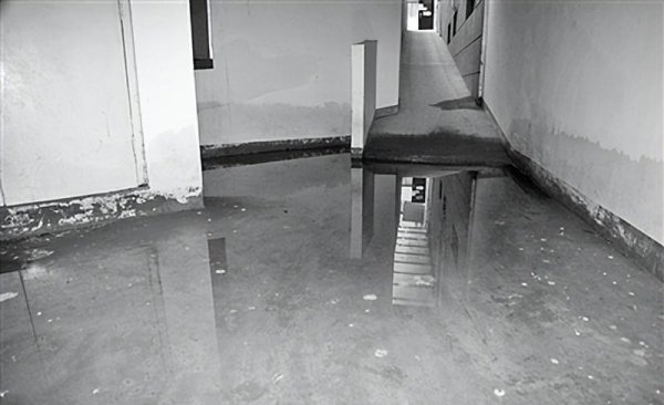 洋房一楼带地下室是个坑吗