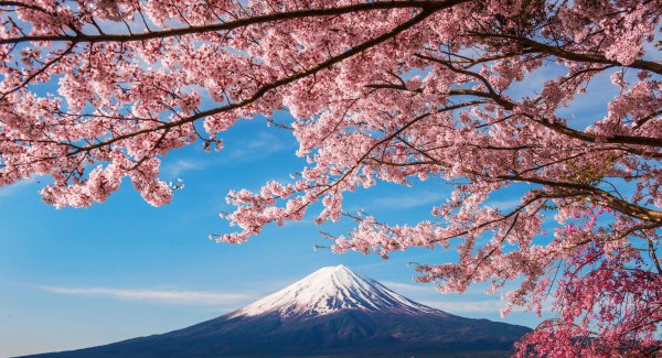 日本的地形特点什么样