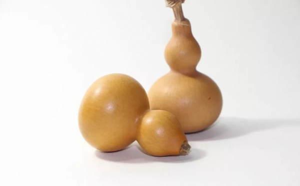 端午节是农历几月几日