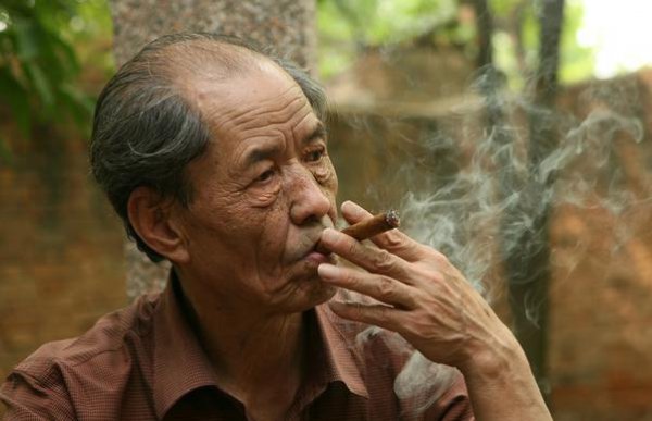 白鹿原的作者是谁