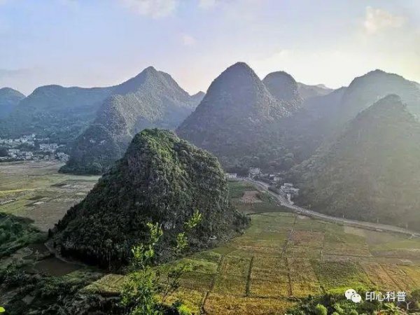 世界上脚最多的动物是谁