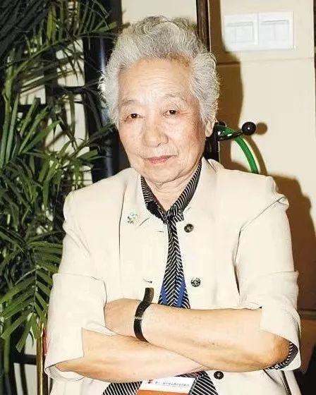 田壮壮个人资料简介