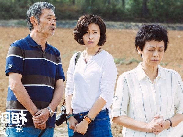 田壮壮个人资料简介