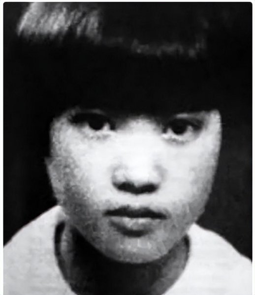 秦怡简历及个人资料