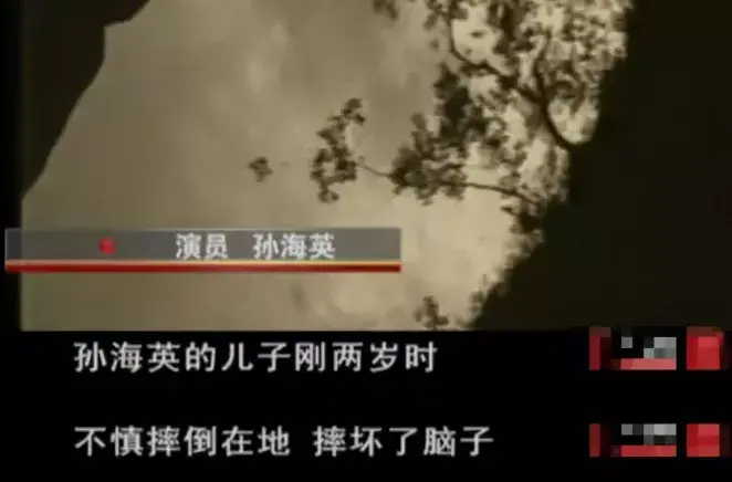 孙海英的个人资料简介及家世