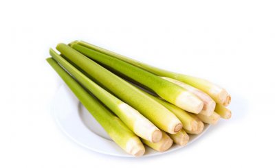 茭白切开里面有黑点能吃吗 茭白上有小黑点是发霉了吗