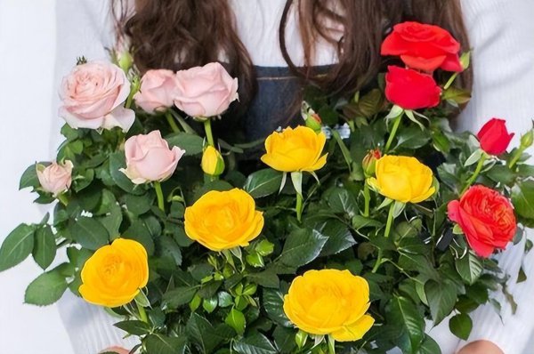母亲节可以送妈妈什么花