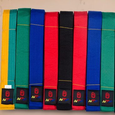 跆拳道初学者所系腰带的颜色