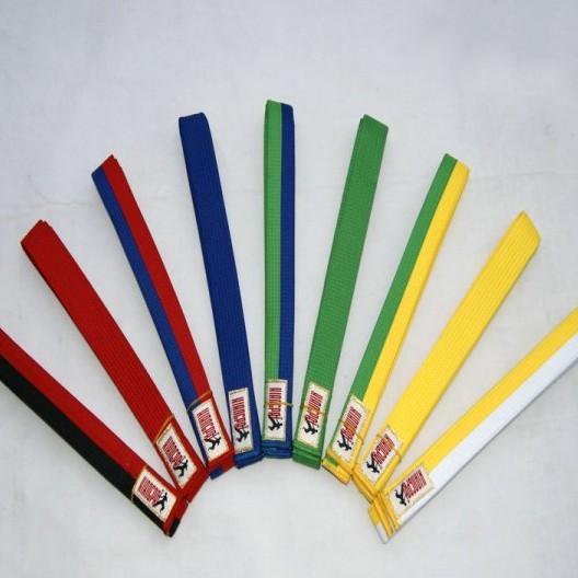 跆拳道初学者所系腰带的颜色