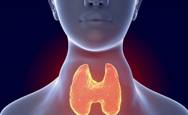 一个月瘦了20斤正常吗