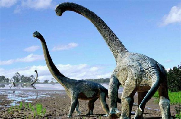 恐龙为什么会消失